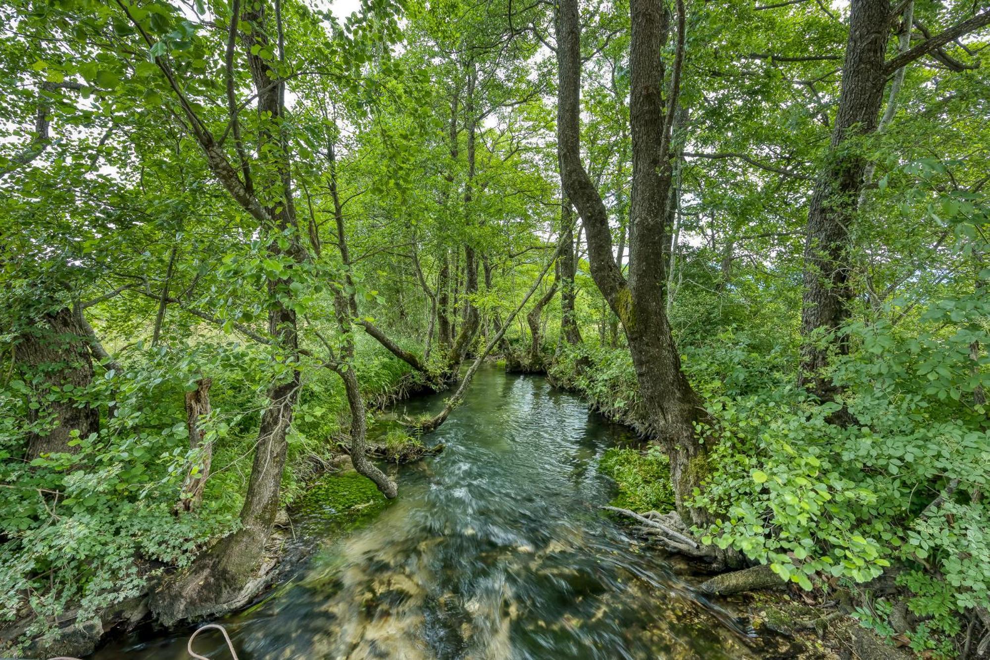 Holiday Home Veki*** Кореница Екстер'єр фото